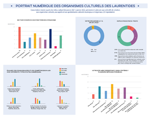 Concertation relative au portrait numérique des organismes culturels des Laurentides (23 répondants).