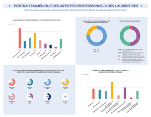 Concertation relative au portrait numérique des artistes professionnels des Laurentides (35 répondants).